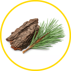 Pine Bark Extract